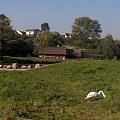 skansen