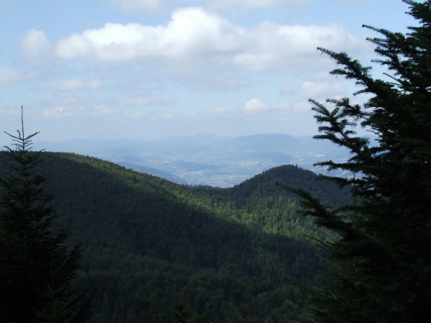 Beskid Sądecki - okolice Rytra #góry