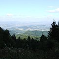 Beskid Sądecki - okolice Rytra #góry