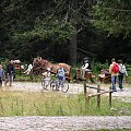 Wycieczka rowerowa Kubusia do Doliny Chochołowskiej w Tatrach.