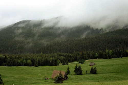 mgły unoszš się nad Kalatówkami