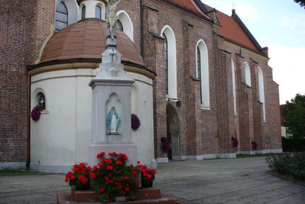 Centrum i okolice Żor