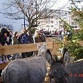 Acheres - impreza miejska Grudniowa