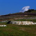 Tokaj pażdziernik 2006