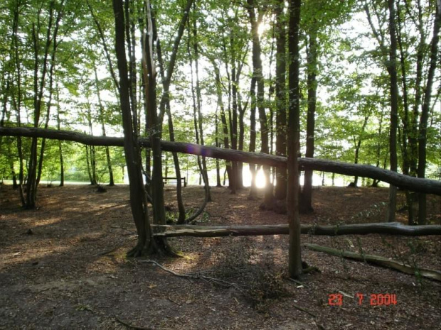 Conflans-Sainte Honorine - Étang du Corra