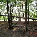 Conflans-Sainte Honorine - Étang du Corra