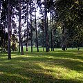 Park Skaryszewski