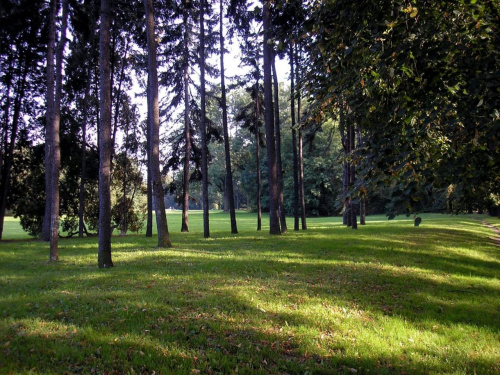 Park Skaryszewski
