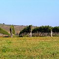 Tokaj pażdziernik 2006