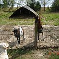 Cernay La Ville - ferme du bout du pres