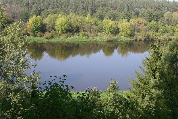 panorama na Pisę z altany widokowej