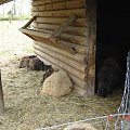 Cernay La Ville - ferme du bout du pres