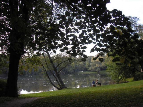Sadzawka w parku