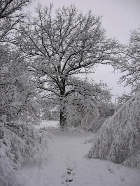 Zima 2005, Hołowczyce #zima #śnieg #zaspa #biel #czerń