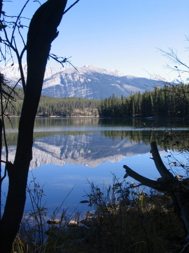 Jasper, Alberta, Canada
7-8 X 2006