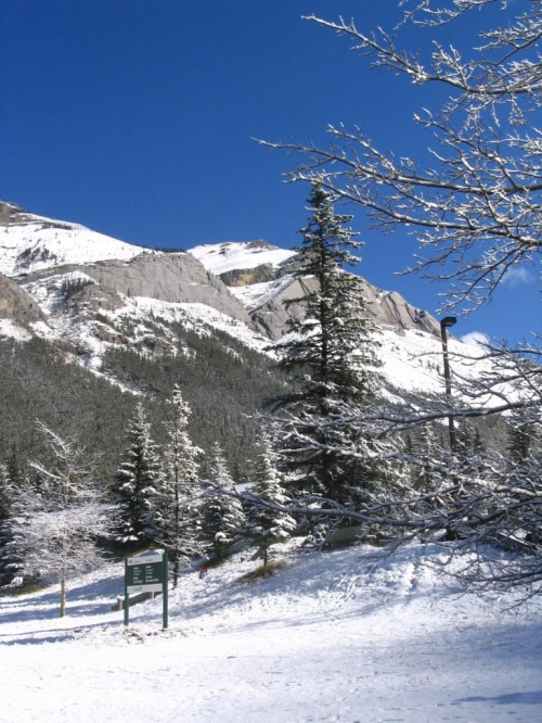 Jasper, Alberta, Canada
7-8 X 2006