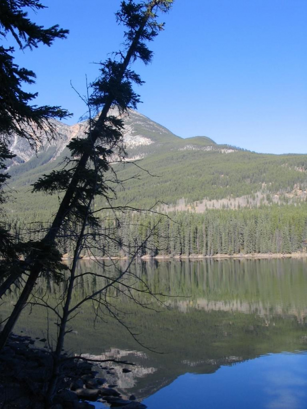 Jasper, Alberta, Canada
7-8 X 2006