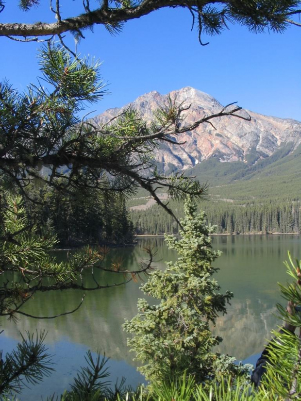 Jasper, Alberta, Canada
7-8 X 2006