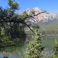 Jasper, Alberta, Canada
7-8 X 2006