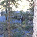 Maligne Canyon, Jasper, Alberta, Canada 8 X 2006