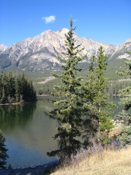 Jasper, Alberta, Canada
7-8 X 2006