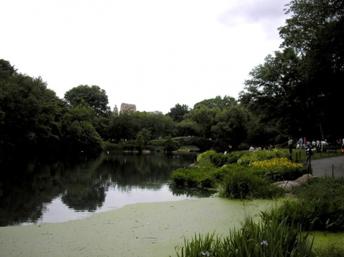 Nowojorski Central Park. Największy park w Nowym Jorku, jednak wszystko jest w nim zrobione ręką człowieka. Pod tą masą zieleni, jest beton, a pod nim cała machineria, która włącza sztuczne strumyczki, wodospady, źródełka. Nie ma w nim niestety nic nat...