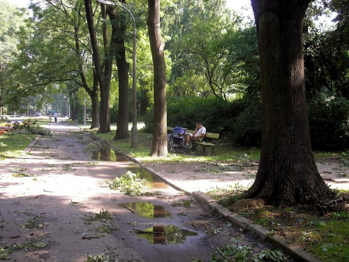 Odpoczynek w Parku Skaryszewskim, pomimo spustoszeń dokonanych przez burzę