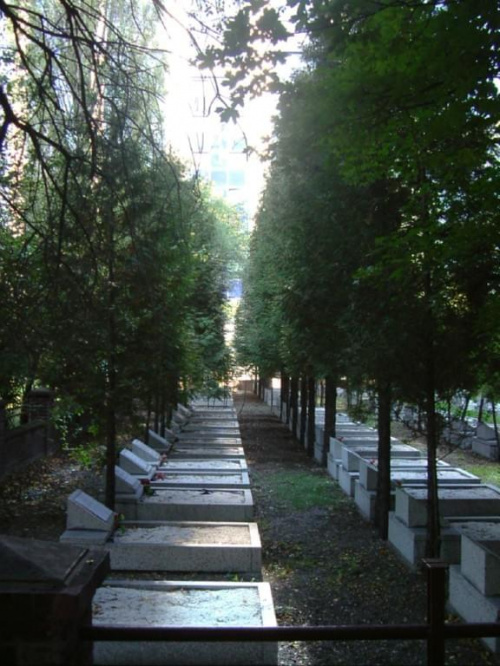 Cmentarzyk miedzy blokami