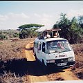 Safari - takimi autami jezdzilimy po kenijskich bezdrożach #Kenia #Afryka #Safari