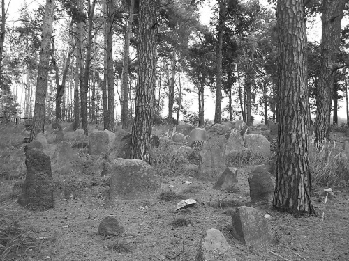 cmentarz tatarski