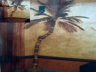 Ta palma występowała w jednej ze scen w filmie "Los CHłopakos"