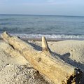 Impresja plażowa #plaża