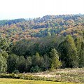Jesienny las na północnym zboczu