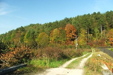 W dolinie Bystrej #Wierzchoniów #Bystra