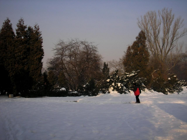 Park Skaryszewski w Warszawie w puchowej szacie