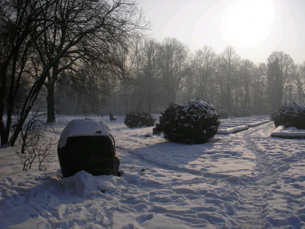 Park Skaryszewski w Warszawie w puchowej szacie