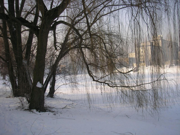 Park Skaryszewski w Warszawie w puchowej szacie