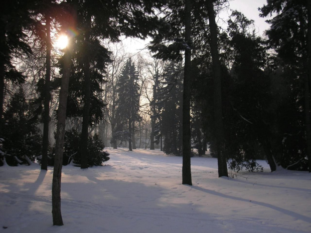 Park Skaryszewski w Warszawie w puchowej szacie