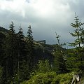 Mola, Tomek i Ania w Czeskich Karkonoszach
