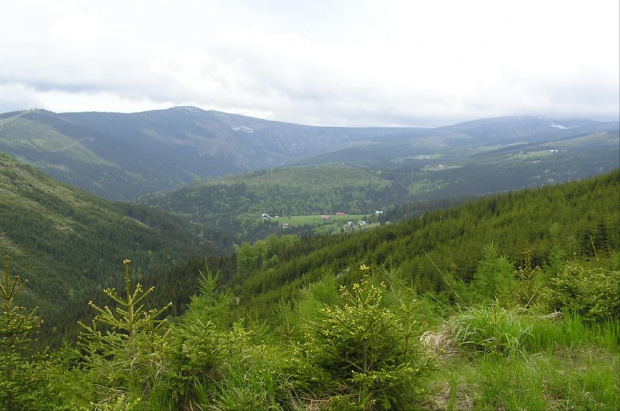 Mola, Tomek i Ania w Czeskich Karkonoszach