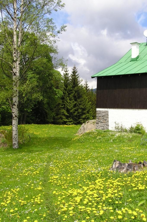 Mola, Tomek i Ania w Czeskich Karkonoszach