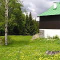 Mola, Tomek i Ania w Czeskich Karkonoszach