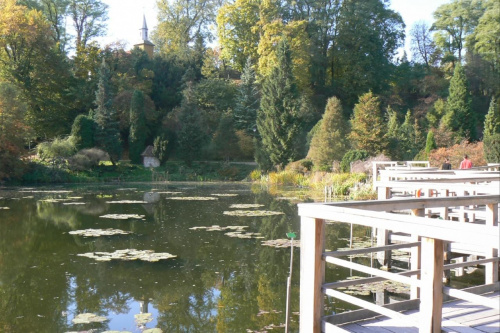 Arboretum - staw z roślinami wodnymi i innymi takimi różnymi dziwami (ryby, traszki, żaby, pająki)