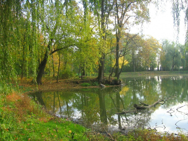 Jesień w Guzowie-pazdziernik2006