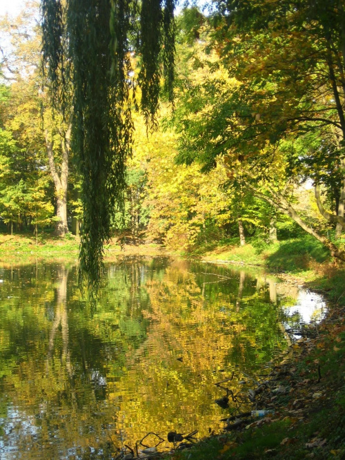 Jesień w Guzowie-pazdziernik2006