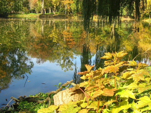 Jesień w Guzowie-pazdziernik2006