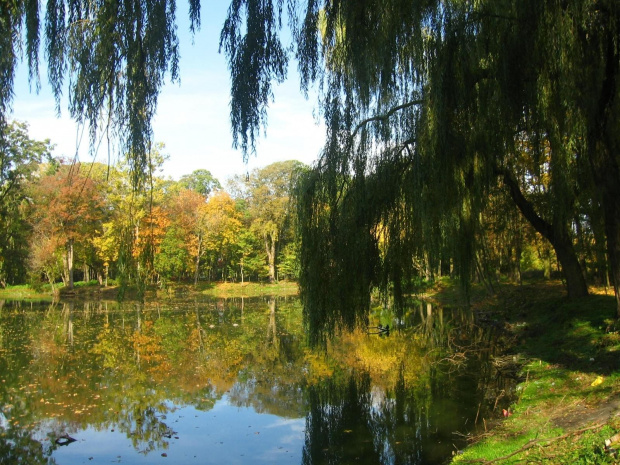 Jesień w Guzowie-pazdziernik2006