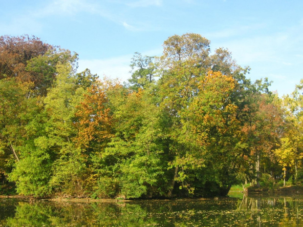 Jesień w Guzowie-pazdziernik2006