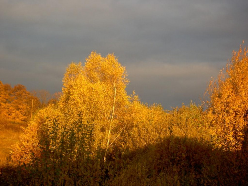 widok z okna pokoju dnia 25.10.2006 rano