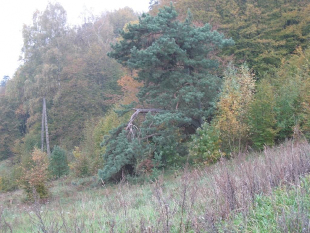 stanczyki i piekna gora 22.10.2006